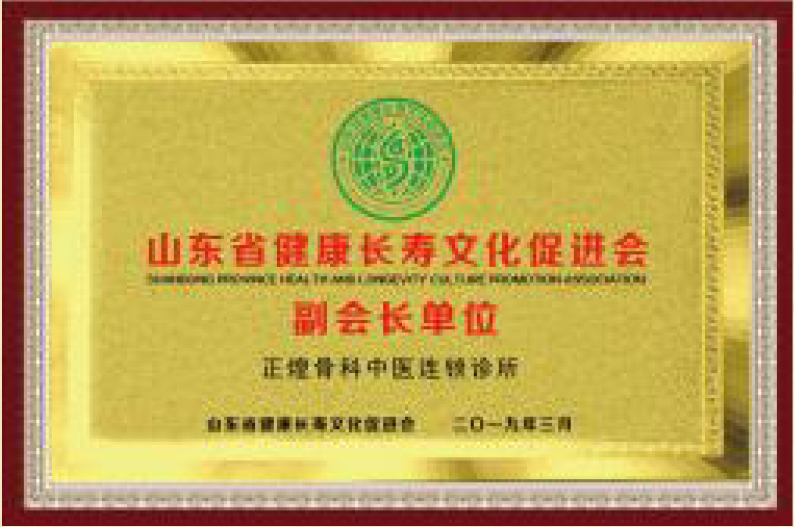 山東省健康長(zhǎng)壽文化促進(jìn)會(huì)副會(huì)長(zhǎng)單位(圖1)